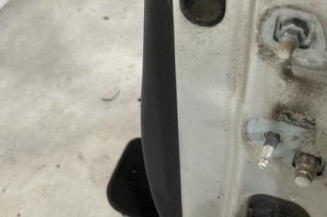 Porte avant gauche RENAULT CLIO 3