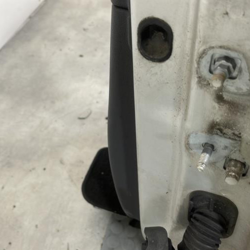 Porte avant gauche RENAULT CLIO 3 Photo n°4