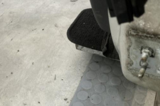 Porte avant gauche RENAULT CLIO 3