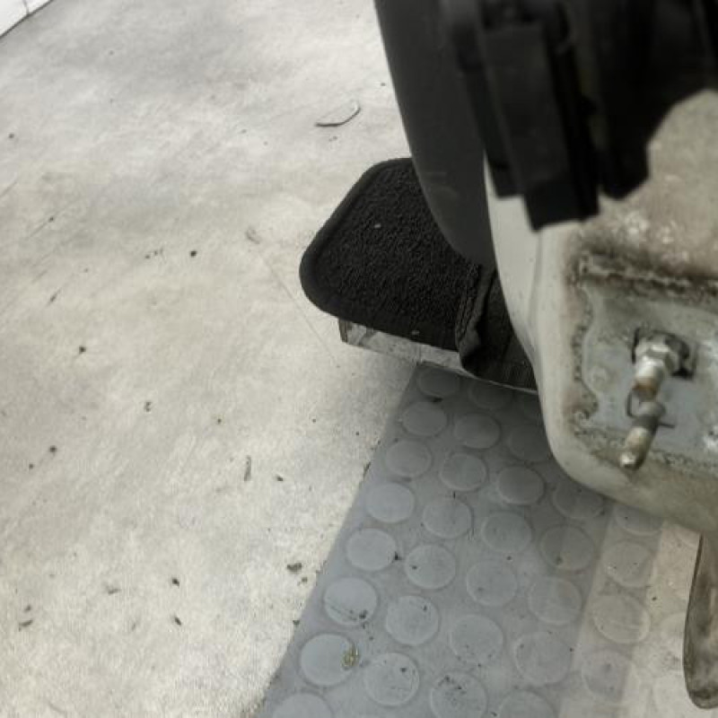 Porte avant gauche RENAULT CLIO 3 Photo n°5