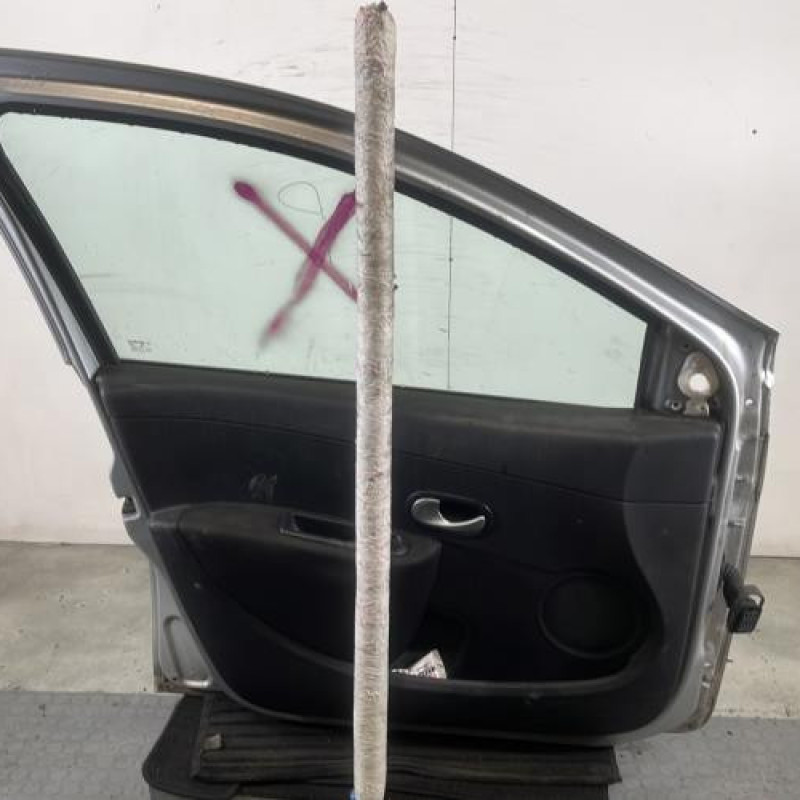 Porte avant gauche RENAULT CLIO 3 Photo n°6