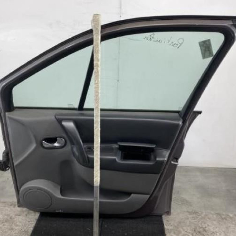 Porte avant droit RENAULT SCENIC 2 Photo n°9