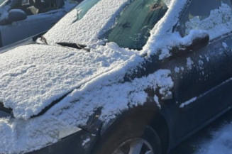 Levier frein à main RENAULT MEGANE 2 Photo n°1