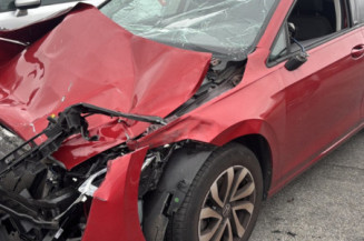 VOLKSWAGEN GOLF 8 PHASE 1 1.0 TSI - 12V TURBO