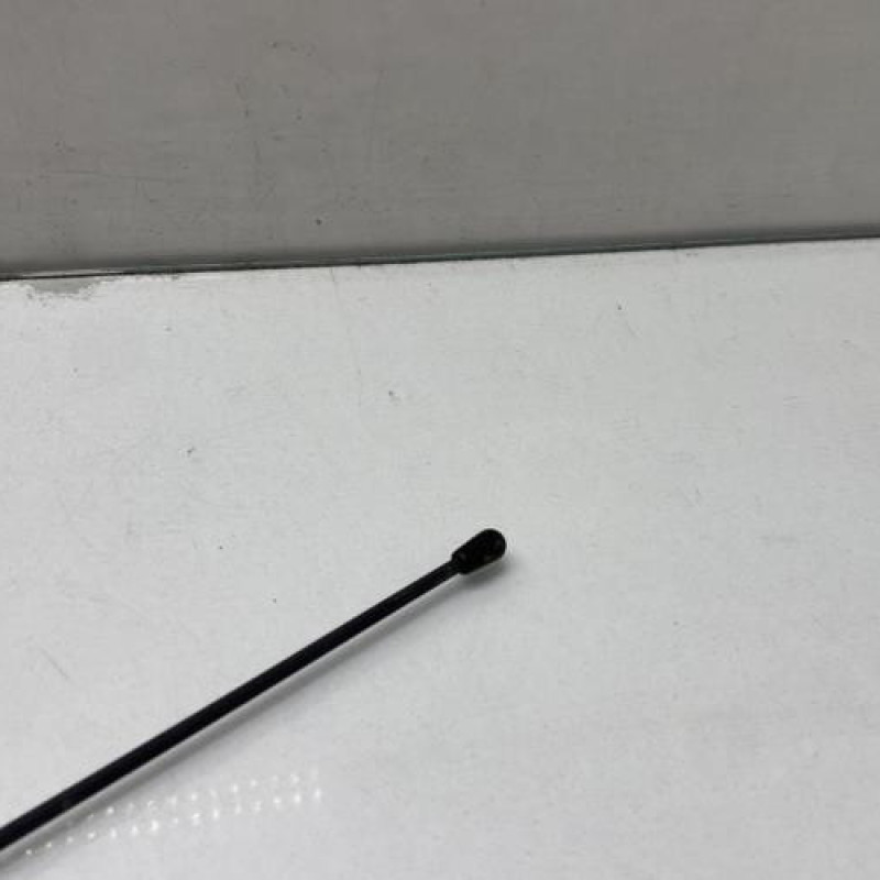 Antenne RENAULT CLIO 2 Photo n°4
