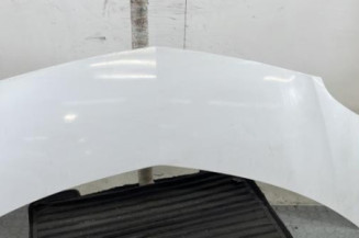 Capot RENAULT MODUS Photo n°1