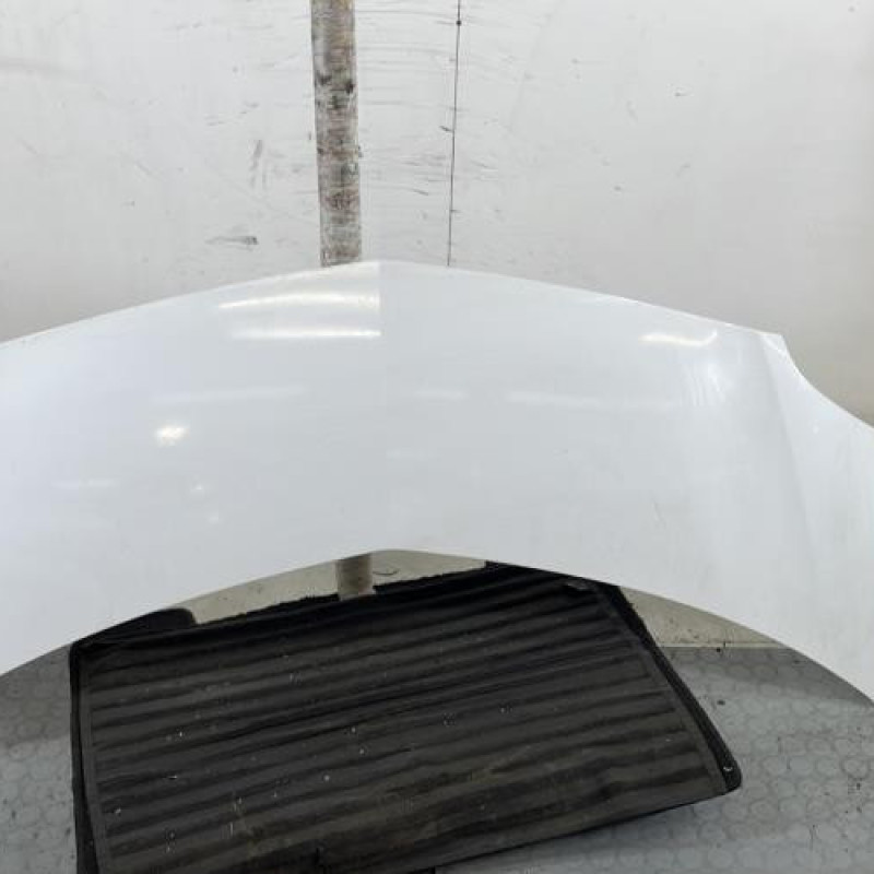 Capot RENAULT MODUS Photo n°1