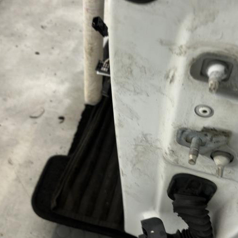 Porte avant gauche RENAULT MODUS Photo n°2