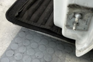 Porte avant gauche RENAULT MODUS