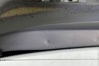 Malle/Hayon arriere RENAULT MODUS