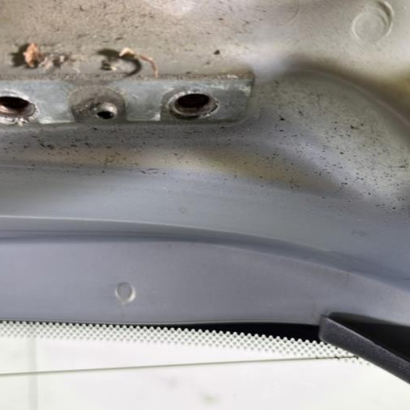 Malle/Hayon arriere RENAULT MODUS Photo n°8