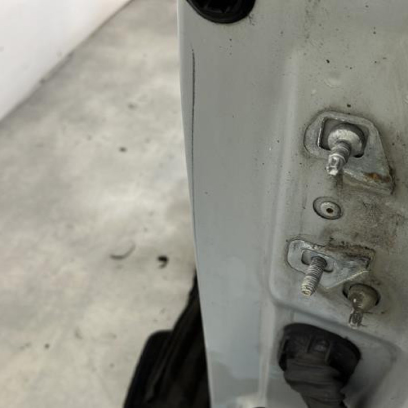 Porte avant gauche RENAULT MODUS Photo n°2