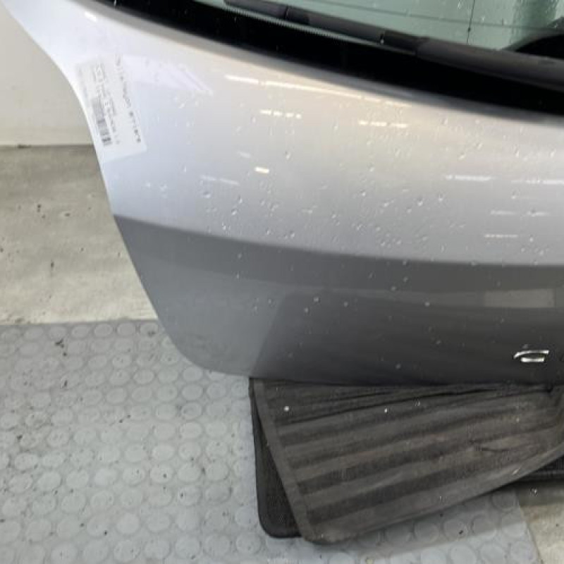 Malle/Hayon arriere RENAULT CLIO 3 Photo n°6