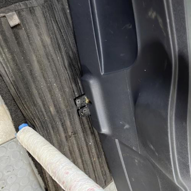 Malle/Hayon arriere RENAULT CLIO 3 Photo n°12