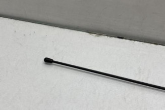 Antenne PEUGEOT 206