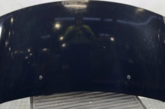 Capot CITROEN DS3 Photo n°1