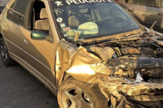 Custode arriere droit (porte) PEUGEOT 306