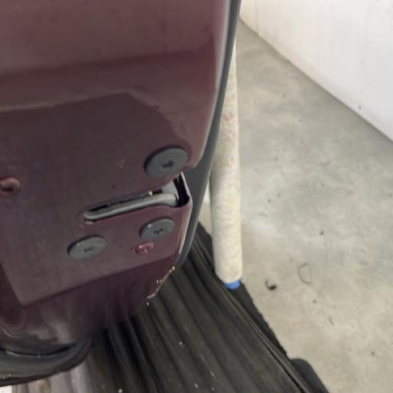 Porte arriere gauche RENAULT SCENIC 3 Photo n°3