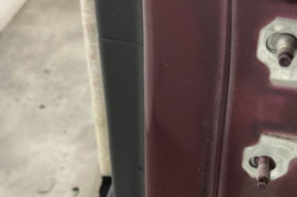 Porte arriere gauche RENAULT SCENIC 3