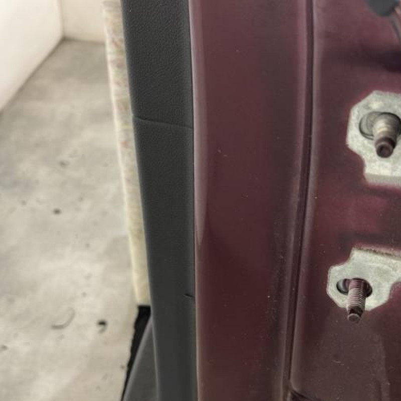 Porte arriere gauche RENAULT SCENIC 3 Photo n°4