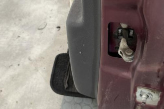 Porte arriere gauche RENAULT SCENIC 3