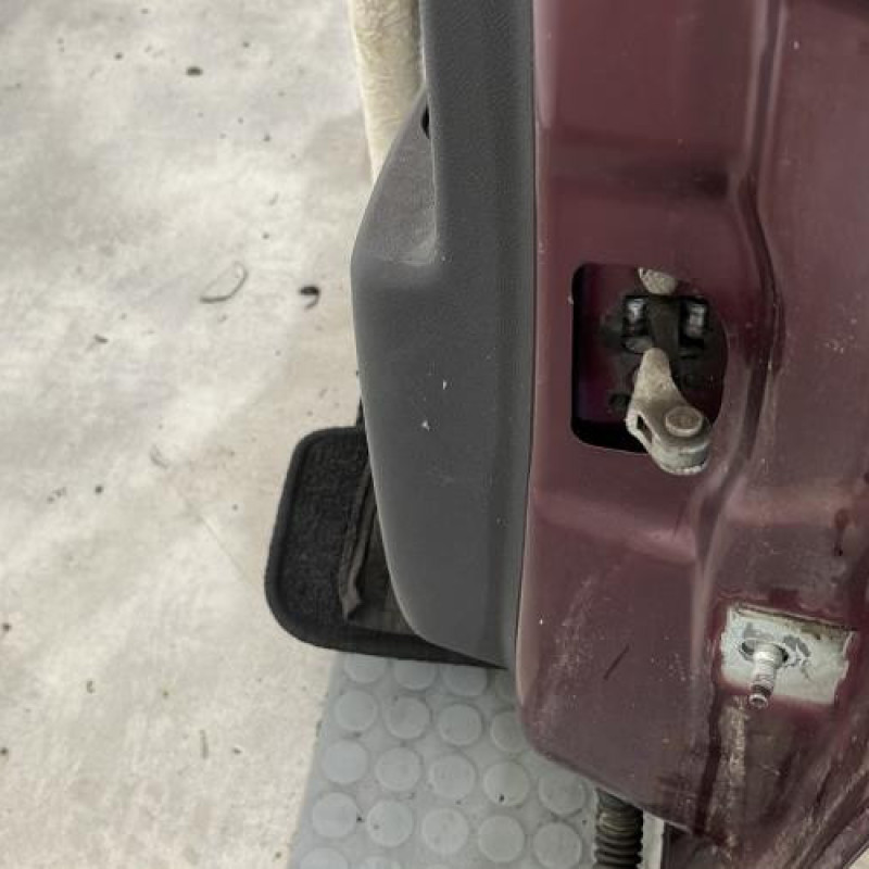 Porte arriere gauche RENAULT SCENIC 3 Photo n°5