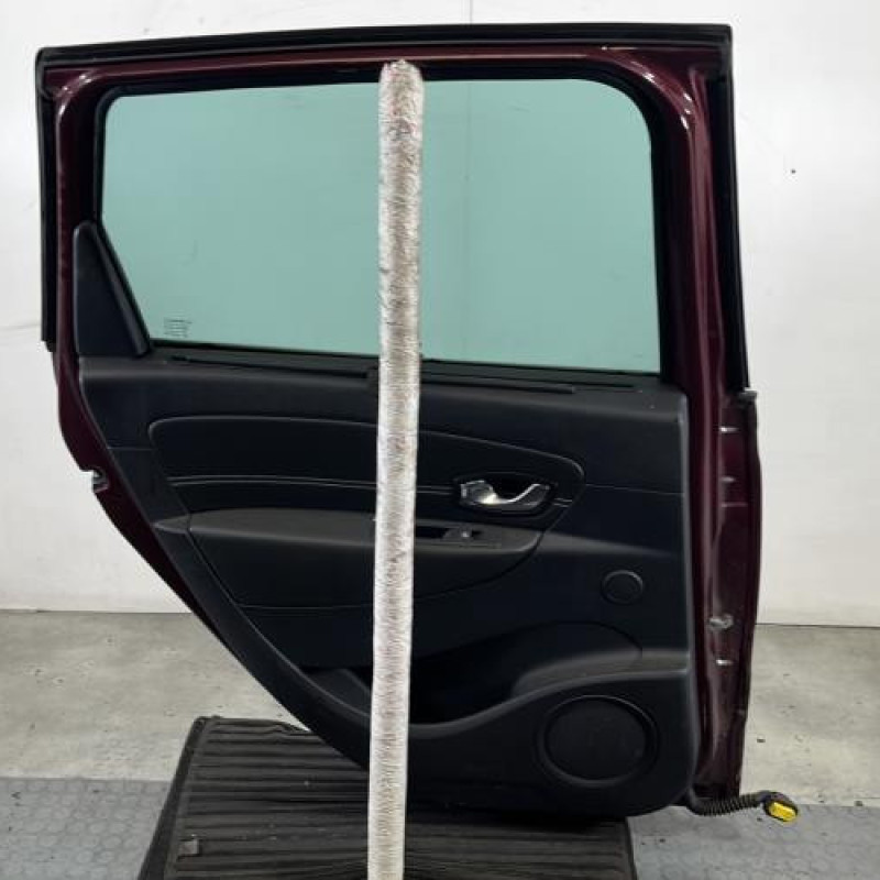 Porte arriere gauche RENAULT SCENIC 3 Photo n°6