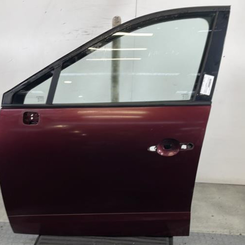 Porte avant gauche RENAULT SCENIC 3 Photo n°1