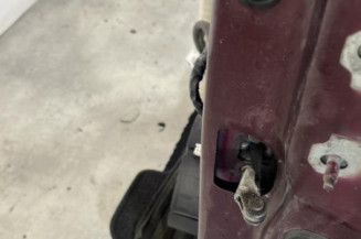 Porte avant gauche RENAULT SCENIC 3