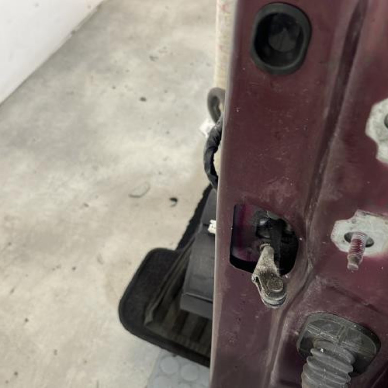 Porte avant gauche RENAULT SCENIC 3 Photo n°2