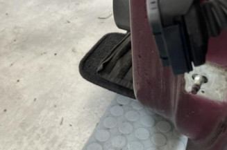 Porte avant gauche RENAULT SCENIC 3