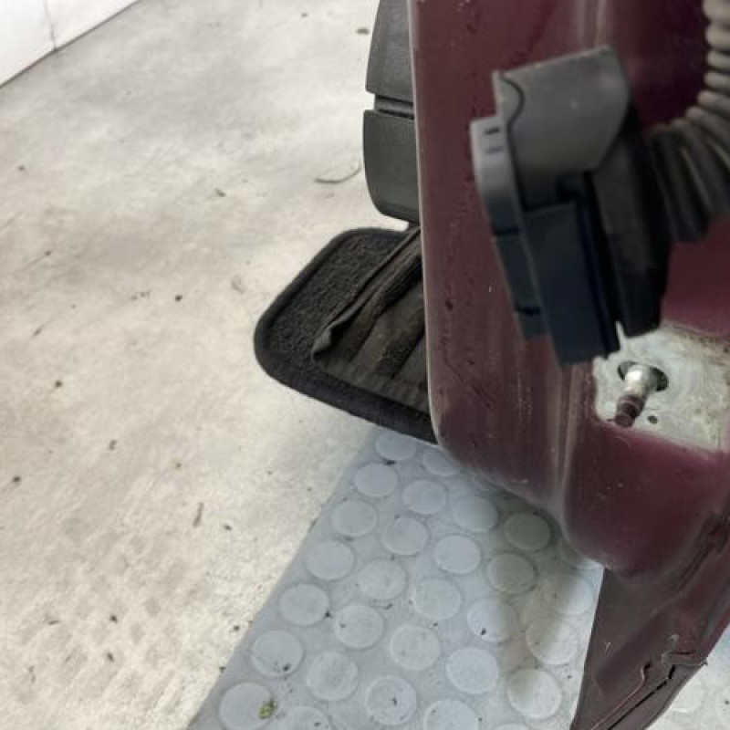 Porte avant gauche RENAULT SCENIC 3 Photo n°3