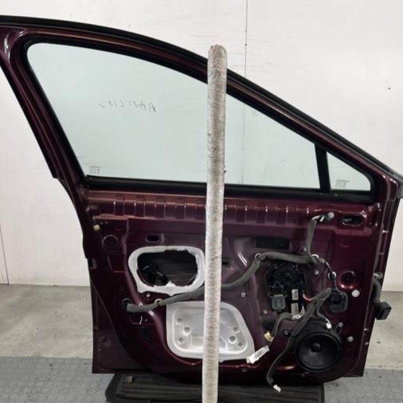 Porte avant gauche RENAULT SCENIC 3 Photo n°4