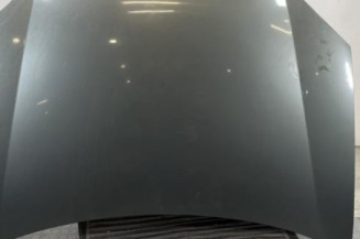 Capot VOLKSWAGEN GOLF 5 Photo n°1