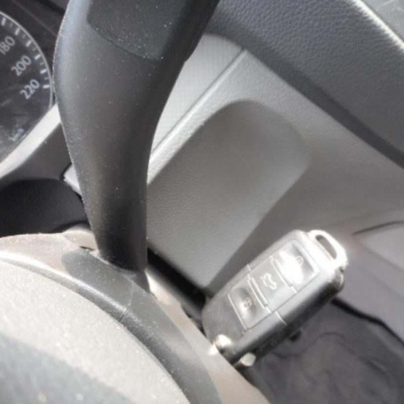 Porte avant droit VOLKSWAGEN GOLF 5 Photo n°11