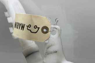 Vase de lave glace RENAULT CLIO 3