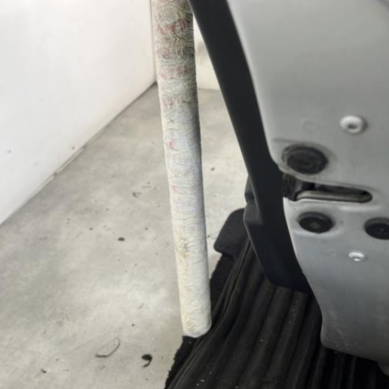 Porte arriere droit RENAULT CLIO 4 Photo n°5