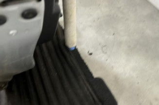 Porte arriere gauche RENAULT CLIO 4