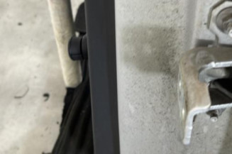 Porte arriere gauche RENAULT CLIO 4