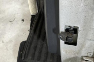 Porte arriere gauche RENAULT CLIO 4