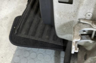 Porte arriere gauche RENAULT CLIO 4