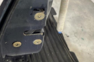 Porte arriere gauche RENAULT SAFRANE