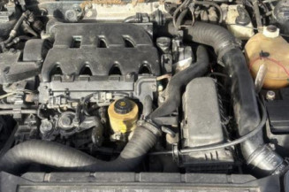 Porte arriere gauche RENAULT SAFRANE