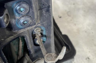 Porte avant droit RENAULT SAFRANE