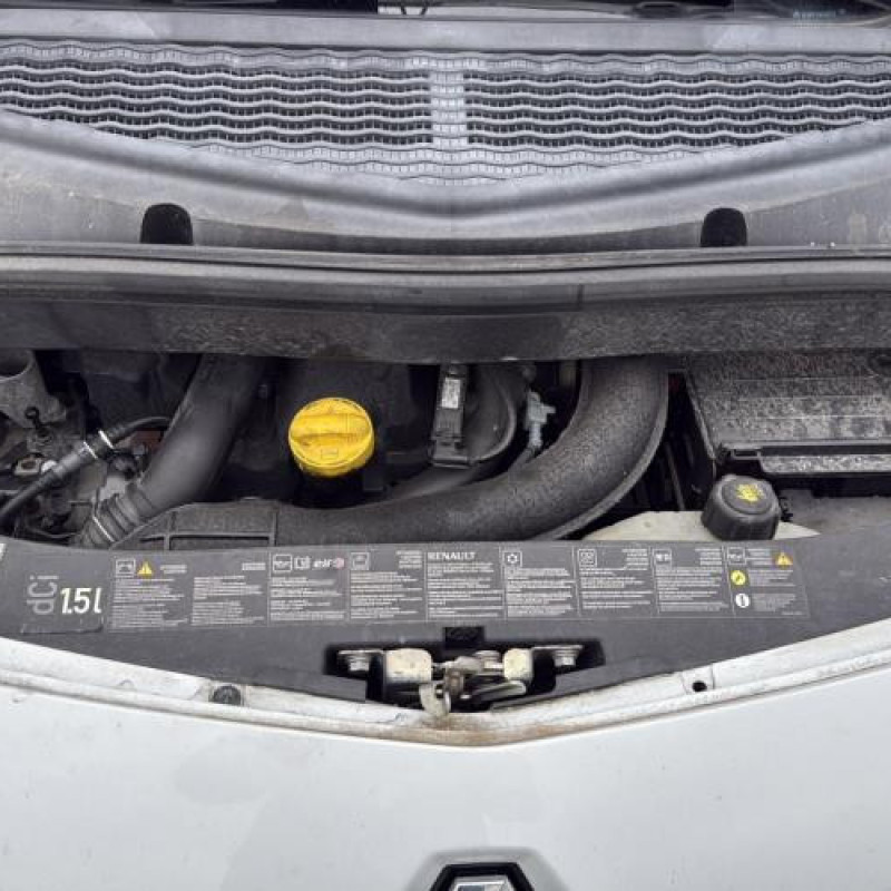 Custode avant droit (porte) RENAULT MODUS Photo n°13