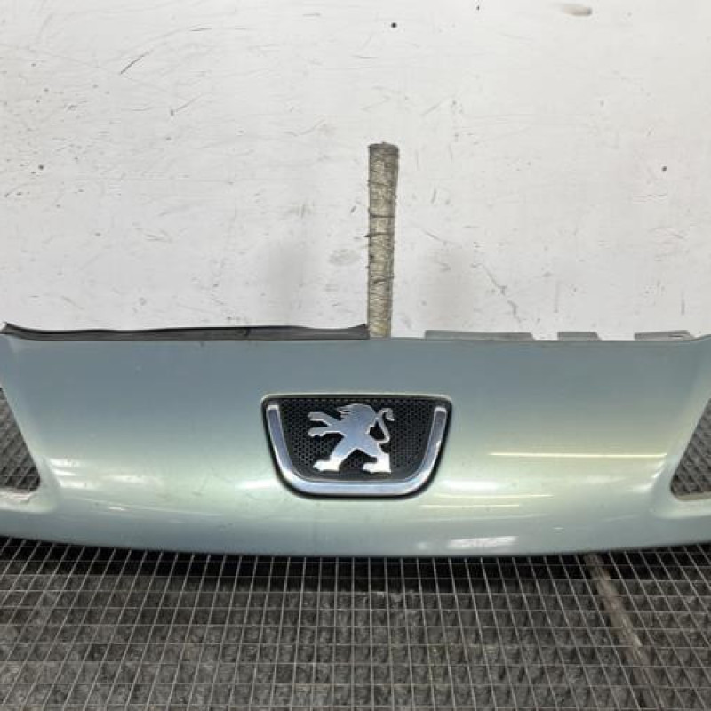 Calandre PEUGEOT 1007 Photo n°1