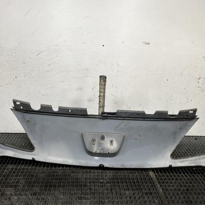 Calandre PEUGEOT 1007 Photo n°4