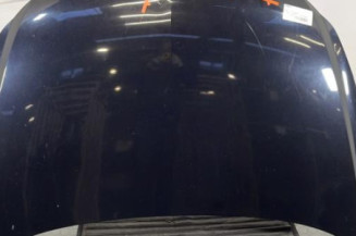 Capot OPEL CORSA D Photo n°1