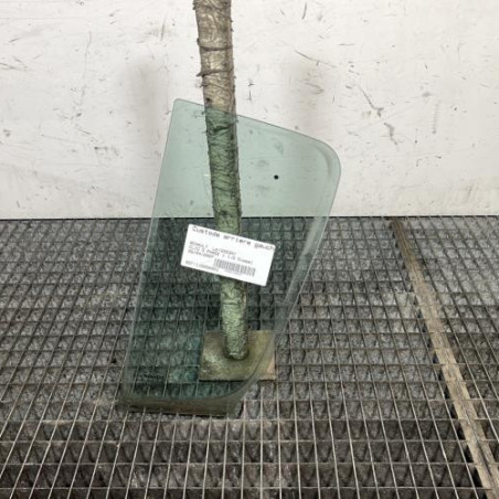 Custode arriere gauche (porte) RENAULT CLIO 3 Photo n°1