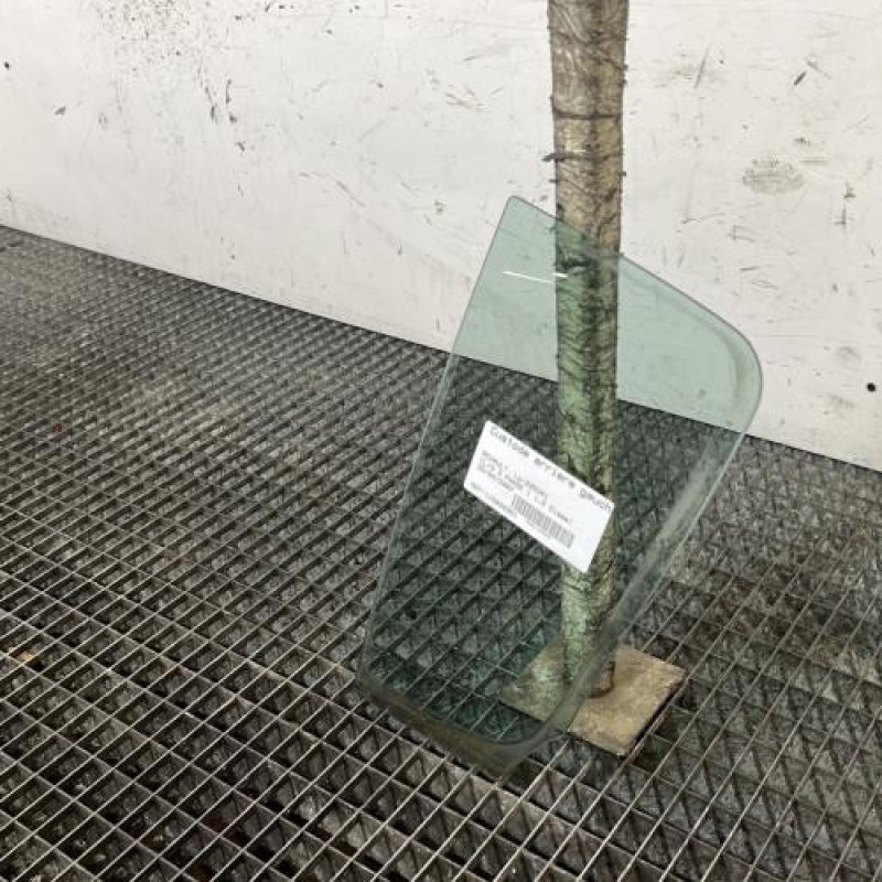 Custode arriere gauche (porte) RENAULT CLIO 3 Photo n°3